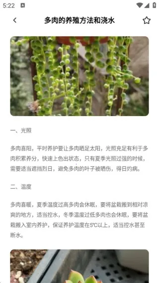 花朵物语时光最新手机版 花朵物语时光最新手机版