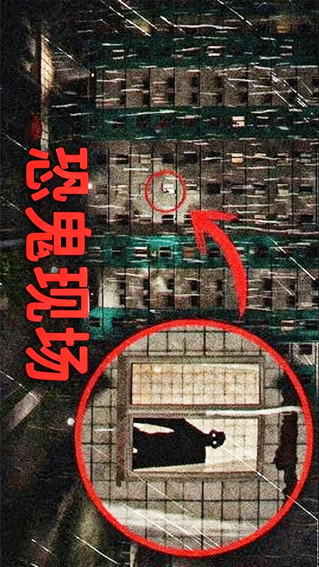 ֳֹ2025ذװv1.0 ׿ͼ3