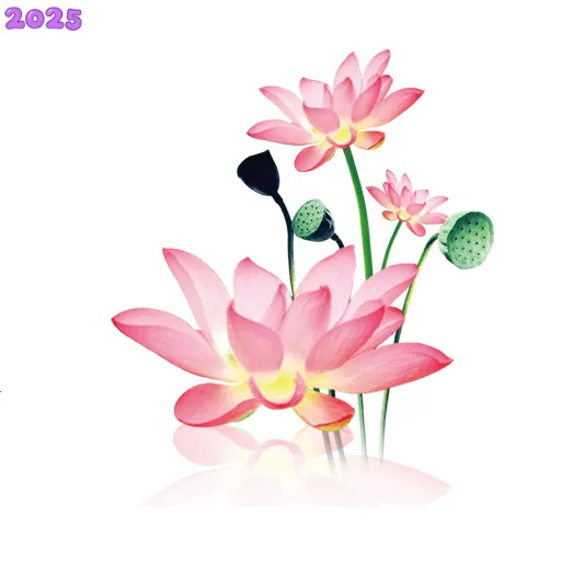 ˮī������2025���°汾