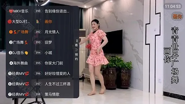 MKV����(MKV��ʽ���ֲ���)