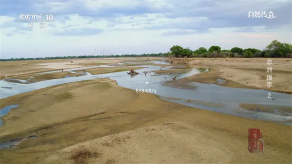 ��̫��2025�ٷ����°汾