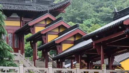 �������������ֻ���