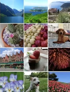 EXILIM Connect(���ͼƬ����)