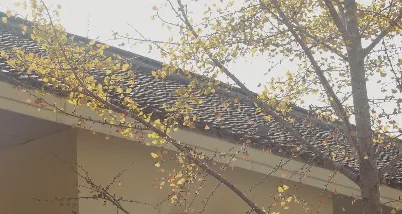 ��ý���۰�׿���ֻ���