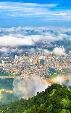 ��ƽ��ý�����ֻ���