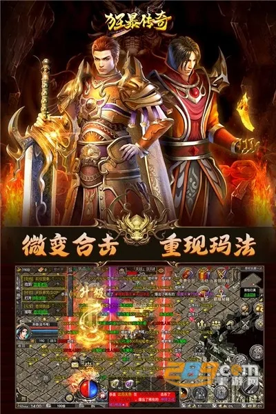 �񱩴���(��Ѫ��������)