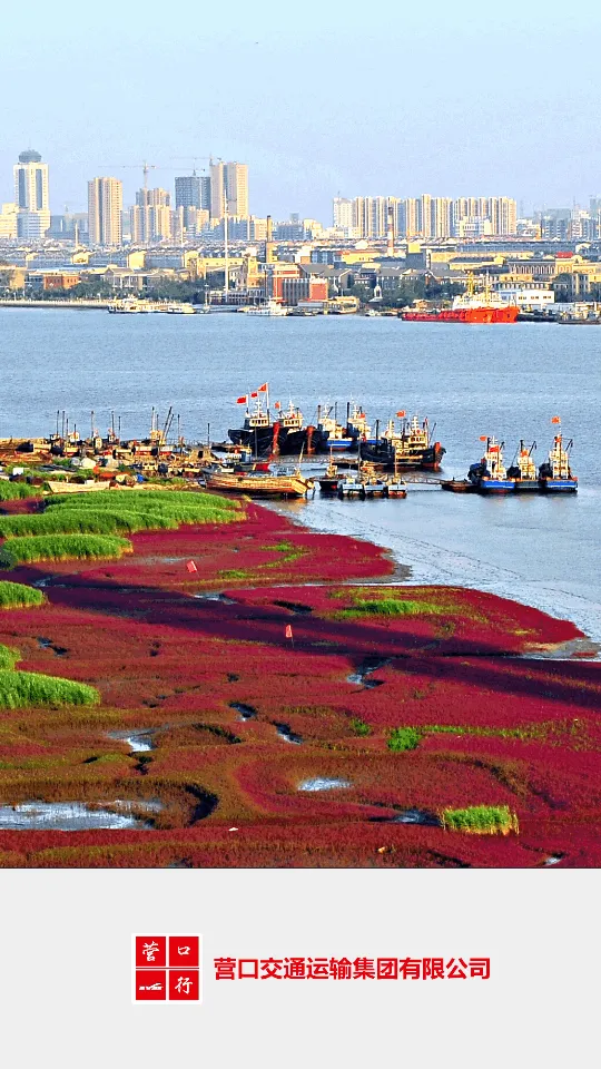 Ӫ����2025���ذ�װv2.2 ��׿���ͼ1