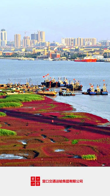 营口行2025下载安装 营口行2025下载安装
