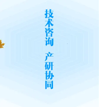 ����2025�ٷ�����