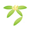 ����̨2025���ذ�װ