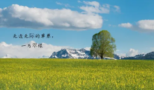 ����(������¼����)