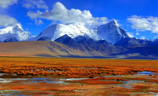 �ڻ�С��(��ֽͷ������)