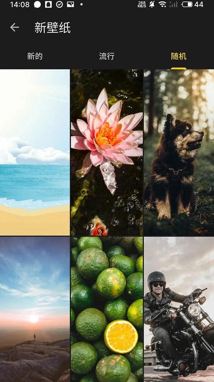 ��ȫȫ��ֽ2026���ذ�װv1.0.1 ��Ѱ��ͼ2