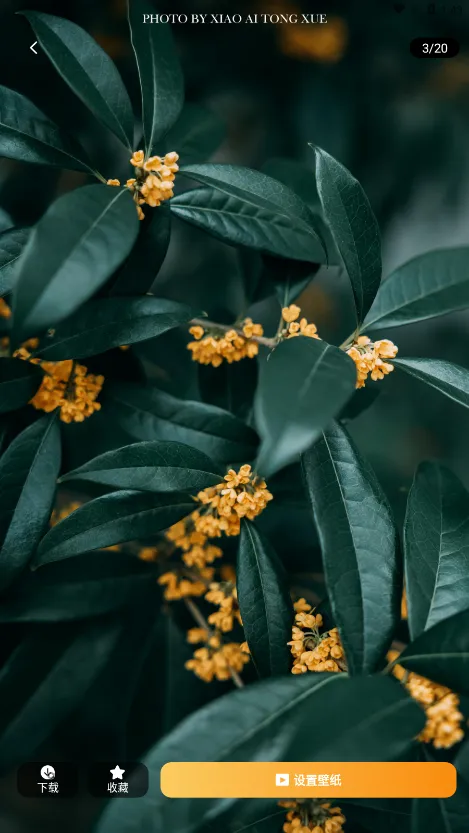 �Ŷ���Ԫ��ֽ2026���°汾v4.2.6 �ٷ������ͼ2