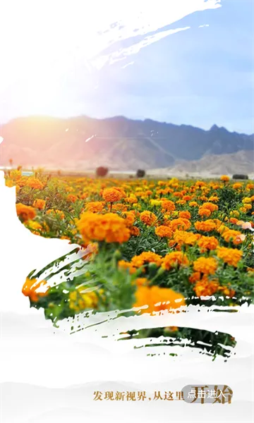 �۽�����2026�ٷ�����v1.0.0 ��Ѱ��ͼ1