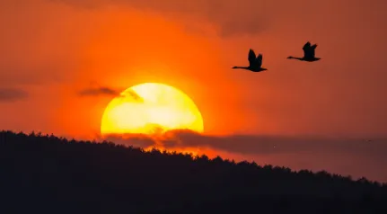 北票融媒(本地新闻服务平台) 北票融媒(本地新闻服务平台)