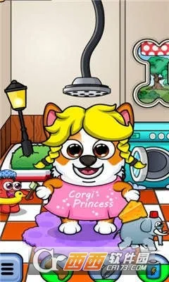 Corgiv2.2.1 ��Ѱ��ͼ3