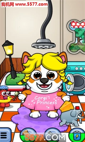 Corgiv2.2.1 ��Ѱ��ͼ1