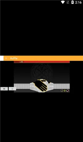 Ruffleģ����v1.0 �ٷ������ͼ2