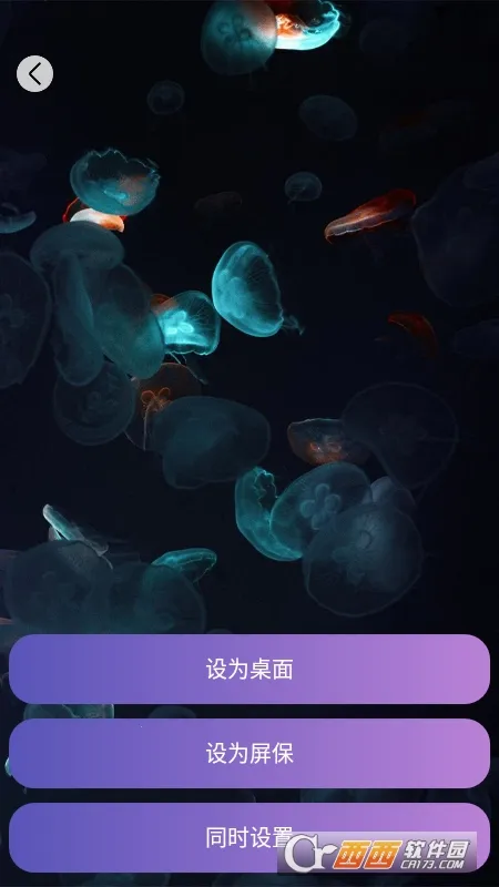 画与未来2026官方正版 画与未来2026官方正版