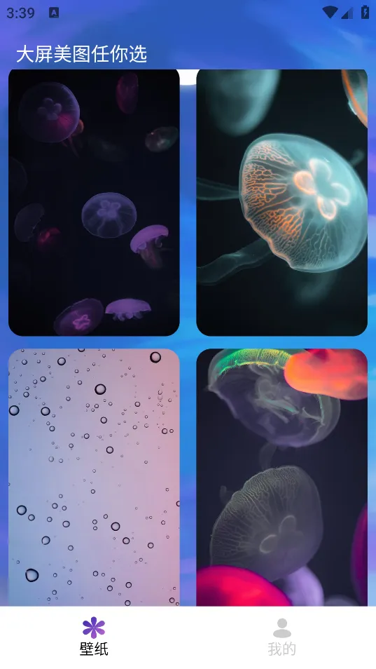 ����δ��2026�ٷ�����v1.0.2.101 ��Ѱ��ͼ2