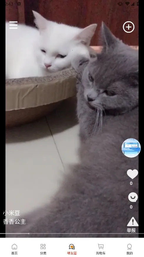 ��С��2026���ذ�װ