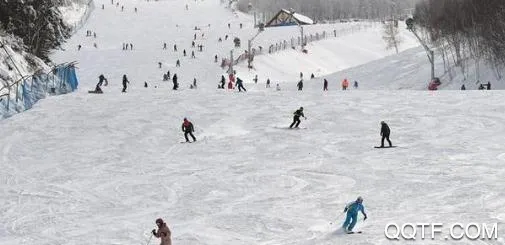 ��ѩ2026���°汾