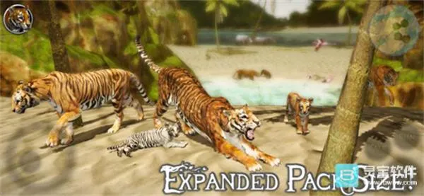终极老虎模拟器22026最新版本 终极老虎模拟器22026最新版本