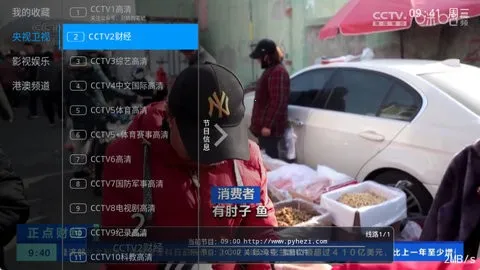 Pn������2026�ٷ�����