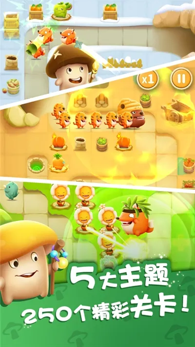 ���ҵ�Ģ��