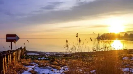 �������2026���°汾