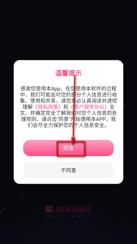 Sensoul(��������������)