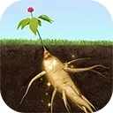 ��������ƽ��������ʯ���޽��