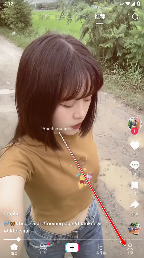 tiktok(����Ƶ��������)