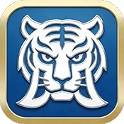 �׻�TV��׿���ֻ���