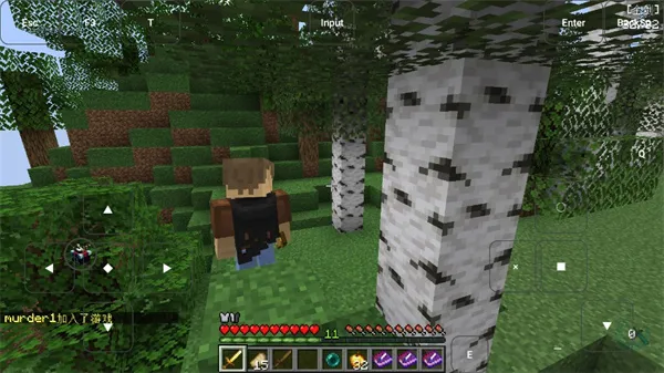 �ҵ����緳�尲׿���ֻ���v�������� �ֻ����ͼ1