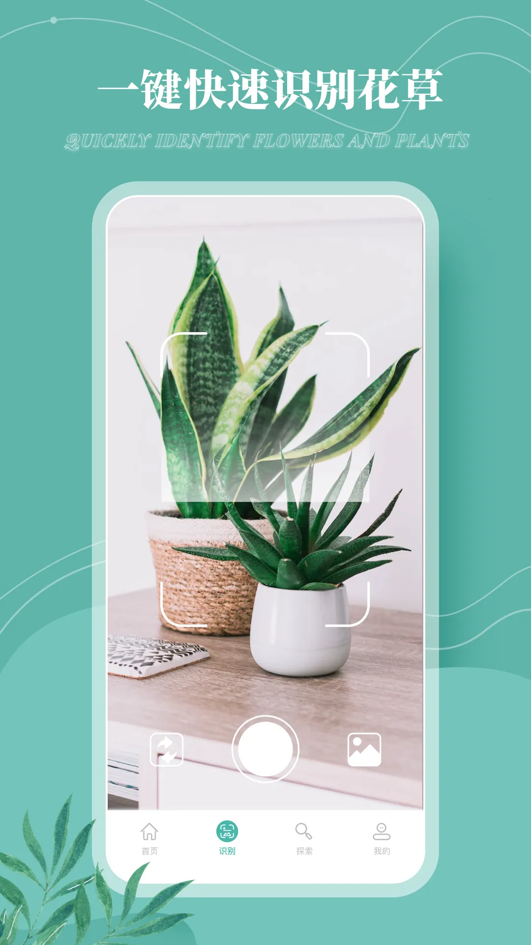 ����¼(ֲ��ʶ����������)v1.0.0 ��׿���ͼ3