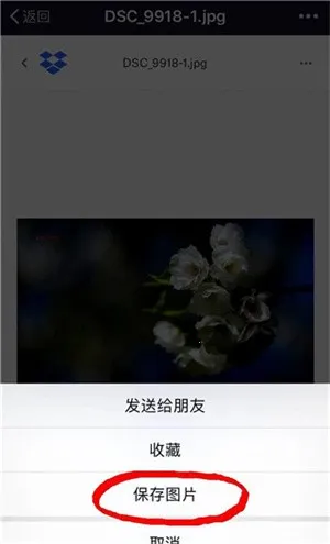 dropbox2026���°汾