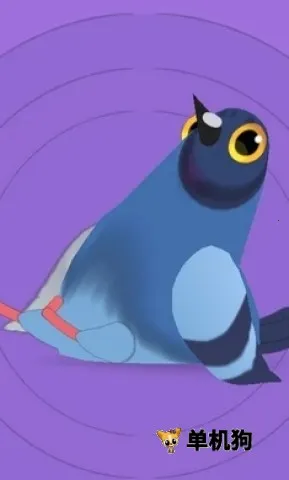 pigeon���ĸ���