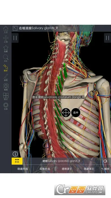 3Dbody����2026�ٷ����°汾v1.25 ��׿���ͼ2