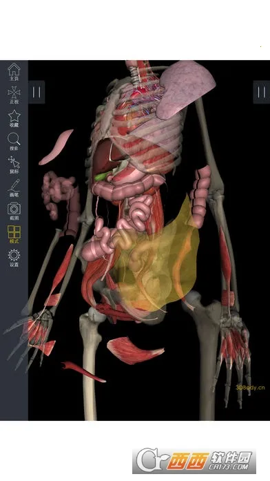 3Dbody����2026�ٷ����°汾v1.25 ��׿���ͼ3