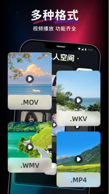 ������Ƶ��Ѳ�����(��Ƶ���Ź���)v1.0.0 �ٷ������ͼ2