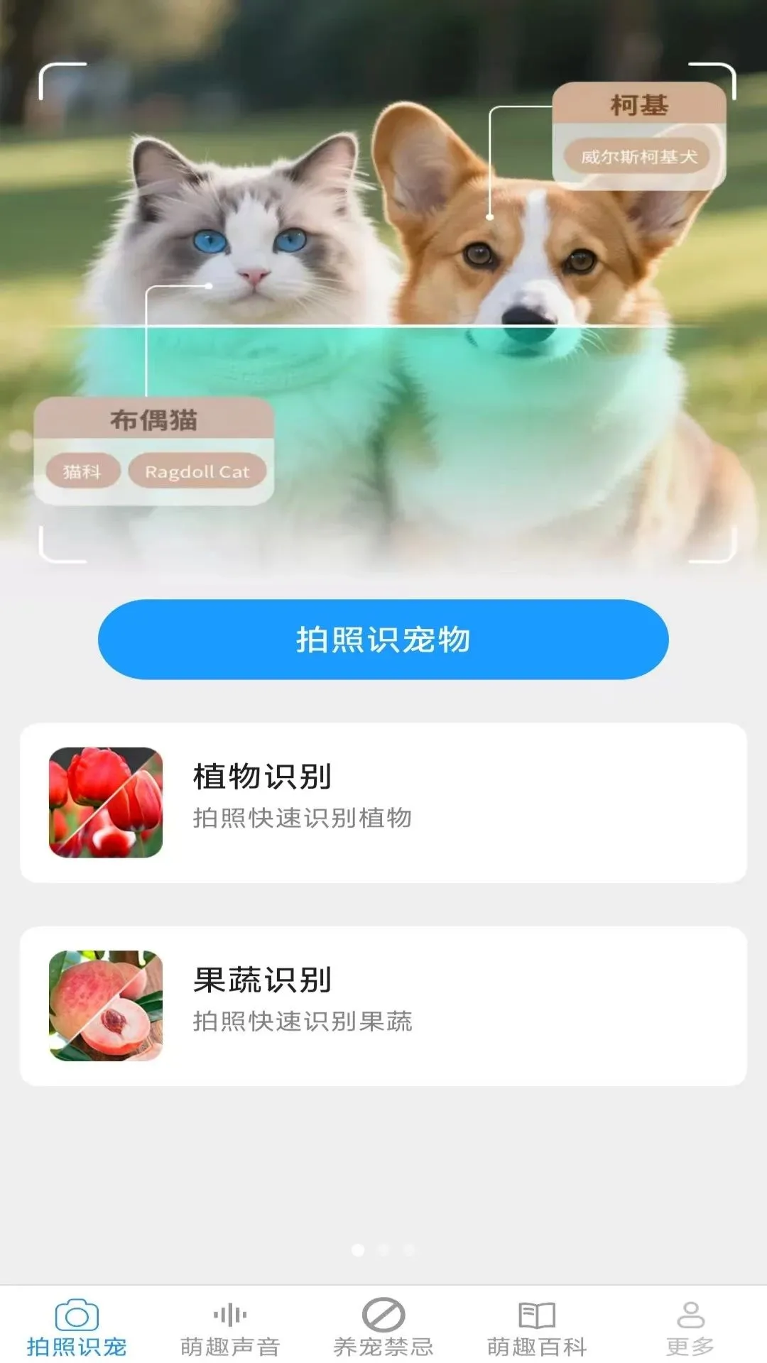 Ԫ�����谲׿���ֻ���v2.6.6.3 �ֻ����ͼ0