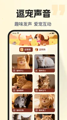 �ȳ�è����ѷ���2026�ٷ�����v1.0.2 ��Ѱ��ͼ2