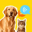 �ȳ�è����ѷ���2026�ٷ�����