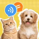 è�����ｻ������2026���°汾