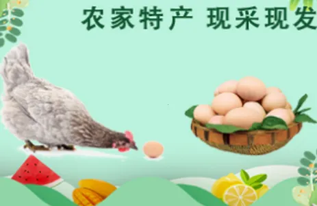 �������2026���ذ�װ