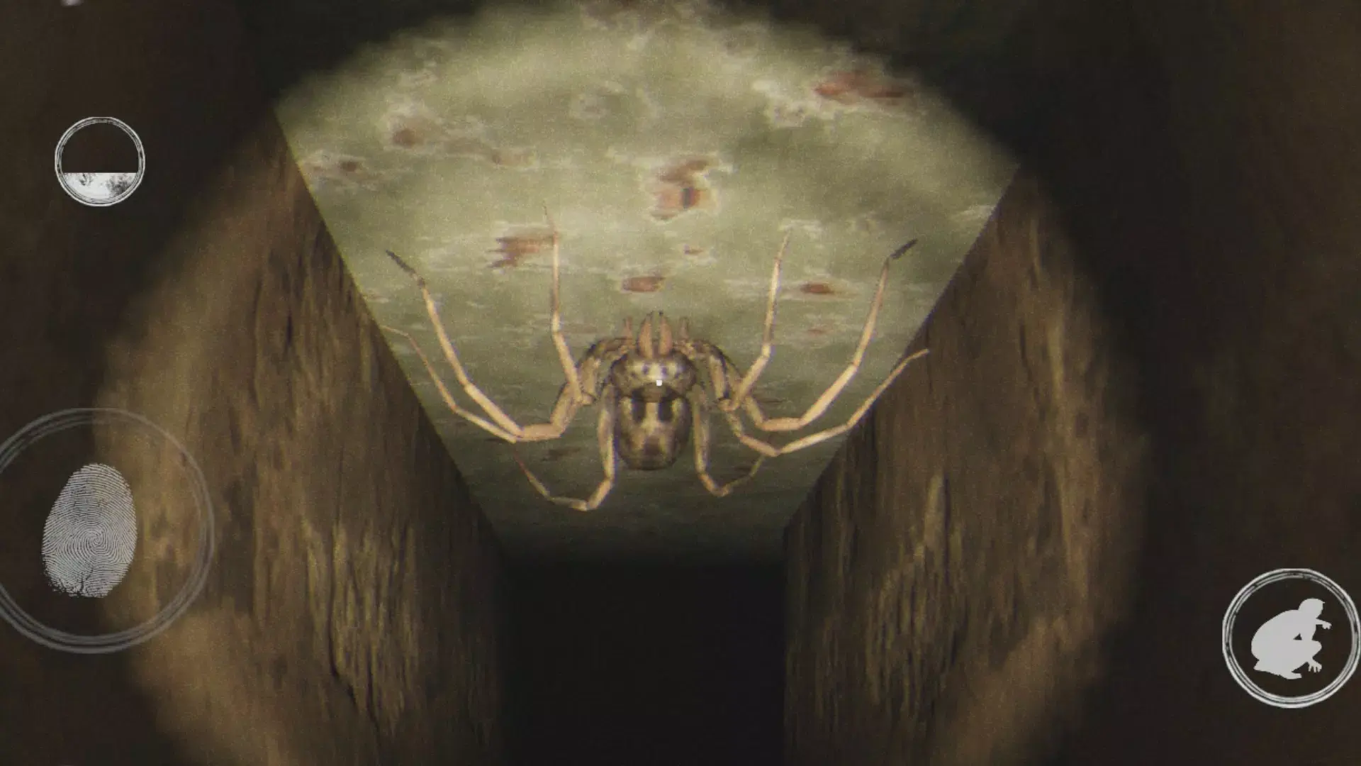 ����ʵ��ֲ���Ϸȥ���(���ҿֲ���Ϸ����)v1.4 �ֻ����ͼ3