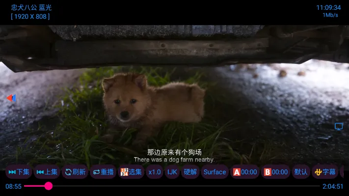 ��ͩtv2026�ٷ����°汾v1.0.1 �ֻ����ͼ2