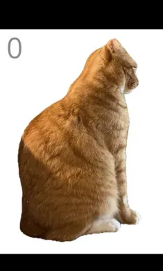 ��è��ë2026���ذ�װv1.0 ��Ѱ��ͼ3